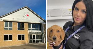 Owners of liquidated dog training company thought to have set up new firm