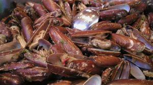 Mangia frutti di mare a Napoli, padovano contrae l’epatite A