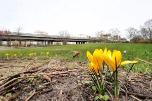 Neuer Name für Park am Innsbrucker Platz: Wer war Erna Proskauer?