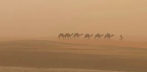 Climate change is altering Saharan dust – and Europe is downwind