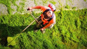 Verde pubblico, via al taglio dell’erba in città: decisi più passaggi fino all’autunno