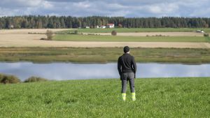 Talous | Lihatalojen pelko hiljentää naudanlihantuottajat – miksi tuottajaorganisaatioista ei uskalleta puhua?