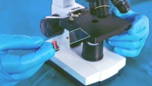 A Lyme Disease Vaccine May Be on the Way