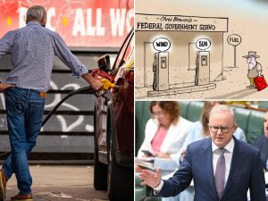 Bolt: Just three weeks of war has exposed our green-mad government’s stupidity