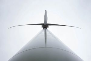 Lettre à mon fils et à ceux qui ne sauront peut-être jamais que notre territoire était un jardin