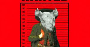 Schweinekopf vor Tür: „Das kann es doch bei uns nicht geben“