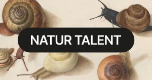 Sie wechseln ihr Geschlecht, sind Zwitter oder Klone