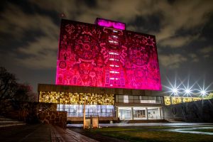 UNAM: inmovilismo y poder