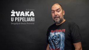 Pismo Vesni Zmijanac, vesnici srpskog proleća