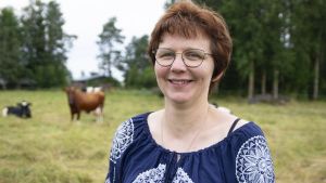 Maatalousyrittäjät | Himankalainen tuottaja kaipaa ruokarauhaa –”Syyllistämällä asiat eivät etene”