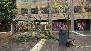 Maltempo sul Veneziano, vento e danni dal litorale a Mestre