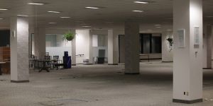 How Much AI-Driven Productivity Growth Do We Want?