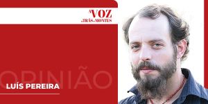 Voluntariado verde num território queimado