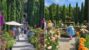 Comunicare con i fiori, dal Rinascimento all’IA: dal Flower show di Firenze all’arte in natura di Roma