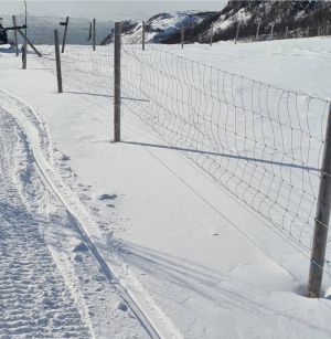La oss stå sammen for våre felles naturressurser
