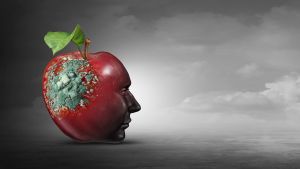 Steve Jobs Meets Brain Rot: Inside Apple’s Bold New Social Strategy