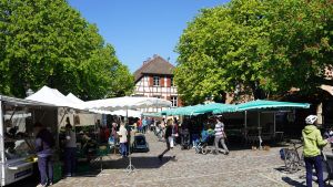 Eier bemalen oder Kochkurs für den Brunch? Zu Ostern 2026 ist in Allensbach einiges los