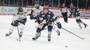 Die Schwenninger Wild Wings wollen sich in Spiel zwei belohnen