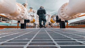 The Cost of Neglecting Energy Security