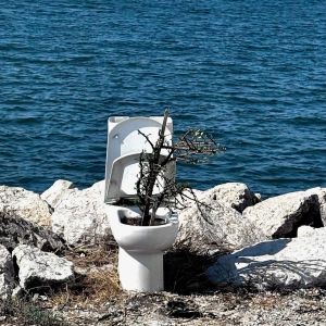 Natureza mais natural não há