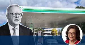 Albanese government struggles under the 'stress test' posed by Middle East war