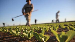 İran Savaşı’nın tarım faturası kabarıyor