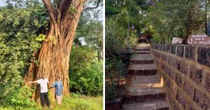 At 60, He Left Filmmaking To Build a No-Internet Homestay Where Village Women Now Earn With Pride