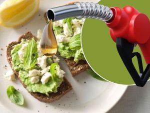 Fuel’s paradise: Why response to diesel crisis is a crude joke