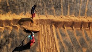 The Big Read. The global food crisis unleashed by the war