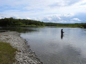 Ivaretakelse av villaks, sjøørret og sjørøye, nasjonalt ansvar og forpliktelse