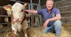 Calf named in memory of 89-year-old farmer who embodied the struggle against farm tax