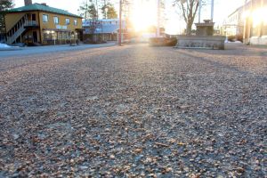 Allergiakausi alkoi harvinaisen aikaisen kevään johdosta