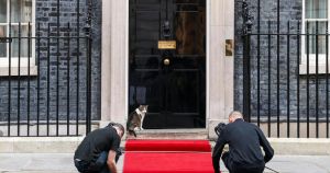 Naši političari nemaju četveronožne ljubimce jer je prevelika konkurencija dvonožnih