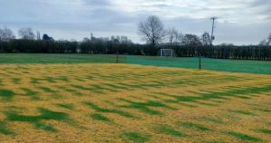 Police end hunt for cricket club weedkiller attack vandals
