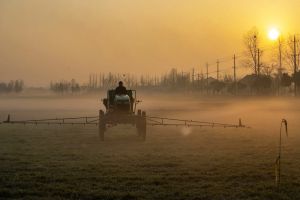 Gewasbeschermingsmiddelen zijn dodelijke vergiften