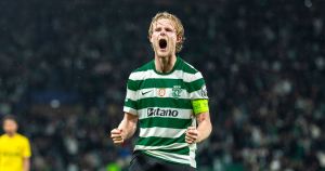 O ataque do leão ao mercado