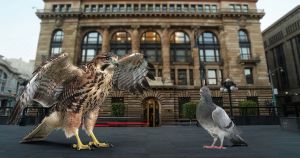 Banxico: entre ‘halcones’ y ‘palomas’