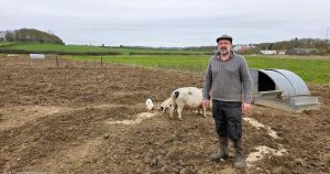 'Strange' and suspicious pig deaths spark intruder warning for farmers