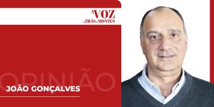 O Poder Local e a CIM Douro: quando a estratégia se faz com proximidade