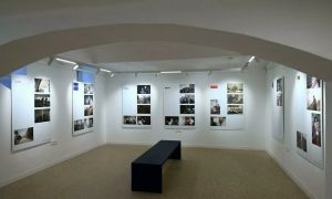 Janša s starejšima oboževalkama, Logar z violončelom, Resnica na konju