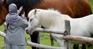 Wie sich der Iran-Krieg auf den heimischen Tourismus auswirkt