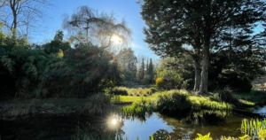 Owners of family-run water gardens prepare for final week before closing