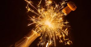 A Wedding for One, the Birth of a Book, and a Puppy Party