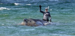 Buckelnde des Tages: Walretter