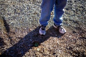 L’État commet une erreur de diagnostic