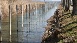 Bootsliegeplätze sorgen für Diskussion: Rat beschäftigt sich mit Hafensanierung und Mietordnung