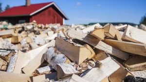 Energia | Tämän talven olosuhteista voi tulla uusi normaali: Polttopuun varastoja pitää lisätä