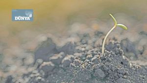 Kadın ve genç çiftçiler