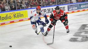 Wieder eine tolle Leistung der Wild Wings, aber wieder eine knappe Niederlage