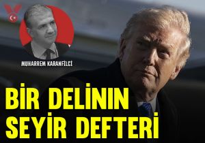 Bir delinin seyir defteri